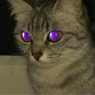 آموزش اتصال ⚡️ فایل ها