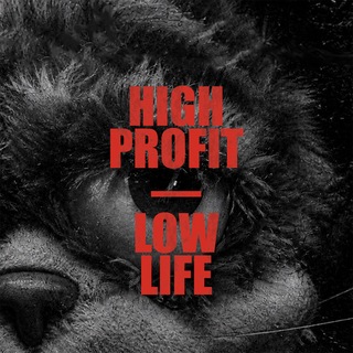 high profit — low life