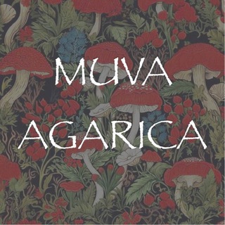 MUVA AGARICA | авторская бижутерия