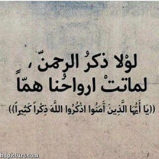 🎗الــذكـر طمأنـيـنـة القــلـ❤️ــب❤️