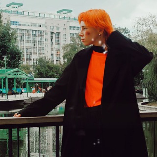 миндалька | мида 🐶💘