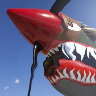 Angry Warhawk