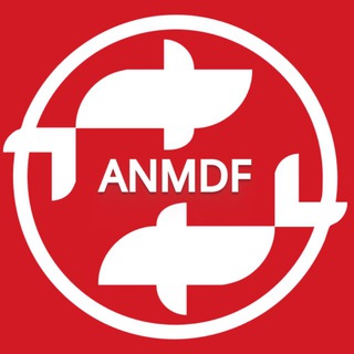 ANM DANCE FESTIVAL