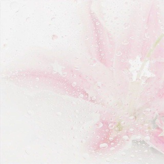 ﹫𝚊𝚛𝚝-𝚌𝚎𝚕𝚒𝚊 /. 𝚍𝚞𝚕𝚌𝚎𝚝𝚝𝚎 🐞🌸