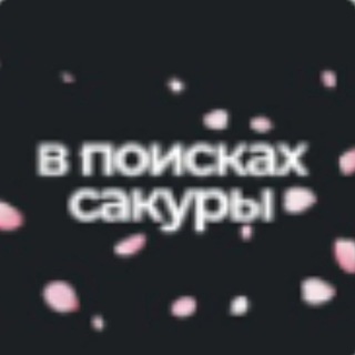 В поисках сакуры | Азия | Путешествия | Эстетика