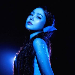 ‌ yeri diary