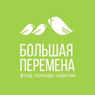 Фонд Большая Перемена