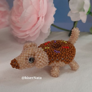 BiserNata 🐶