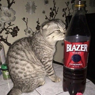 завод блейзера