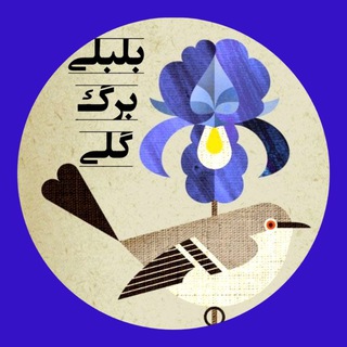 بلبلی برگ گلی