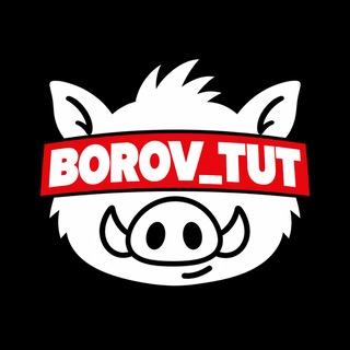 BOROV_TUT
