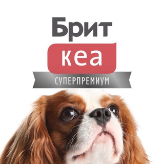 Брит Кеа | Корм для собак и кошек