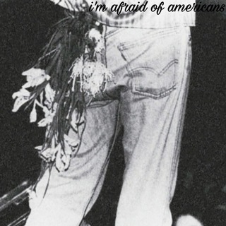 i'm afraid of americans