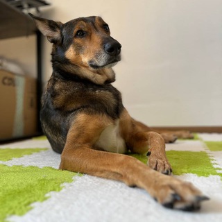 kasper.