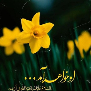بچه های امام زمانی عجل الله تعالی فرجه الشریف