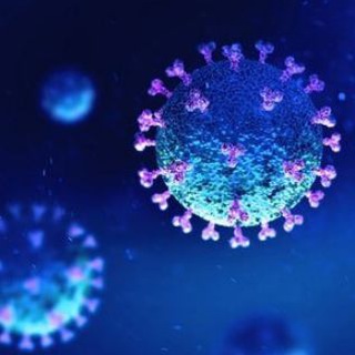 Covid-19 Plandemic