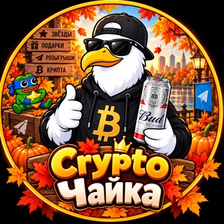 Crypto Чайка