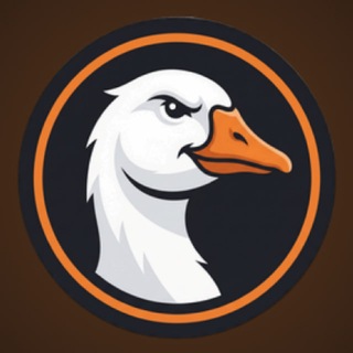 GOOSE | CS2