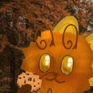 𝙳𝚊𝚁𝚊𝚎𝚛