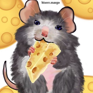 🤍𝚋𝚒𝚜𝚎𝚛𝚛.𝚖𝚊𝚛𝚐𝚘🐾