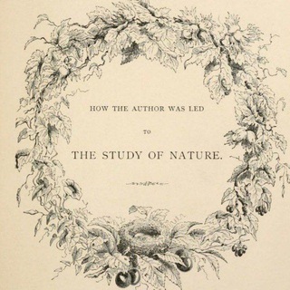 De Natura - Biological Illustrations