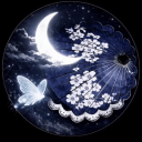 NightZone