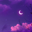 Tsuki 🌙