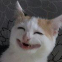 ! MEOWMOJISTAN Autonomous area