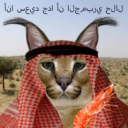 !ШУЕ!