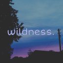 🌵🌺wildness.☄