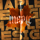 Maple