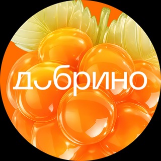 Академия «Добрино»