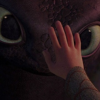 How to Train Your Dragon confessions 🦎🖐