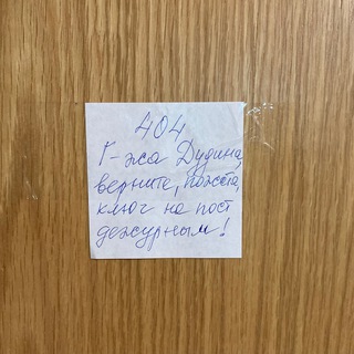 404 ERROR и госпожа Дудина