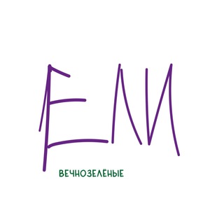 ЕЛИ🌲вечнозеленые