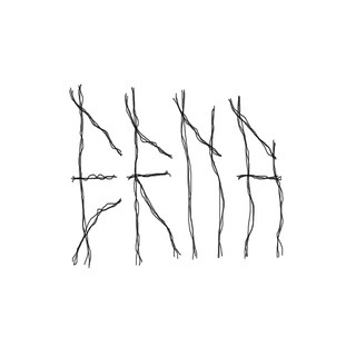 ERNA punk riot