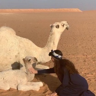 حور