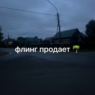 флинг продает🌴