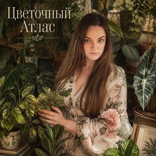 Цветочный атлас🌺
