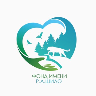 Фонд имени Р. А. Шило