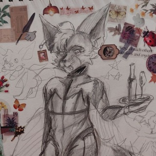 FoxHole4u art's 16+