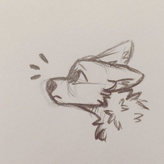 FURRY GAY YIFF🫶