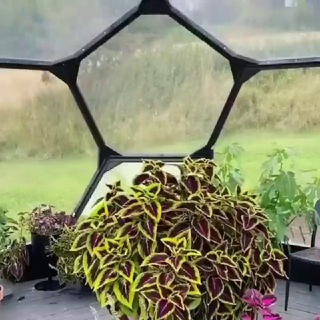 اسرار نگهداری گیاهان آپارتمانی 🪴🌵