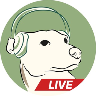 Команда Добра | Goodness Crew - Live