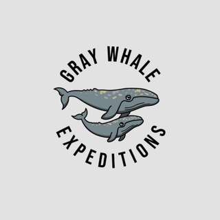 Gray Whale Expeditions