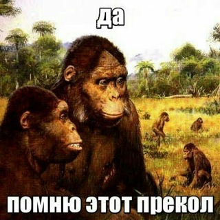 Пицца куница