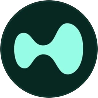 TWAP Hyperliquid