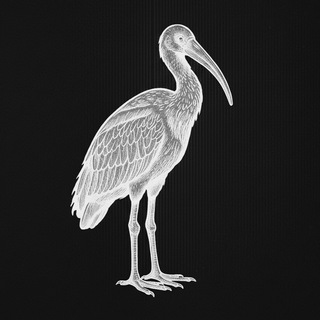 Portal Ibis