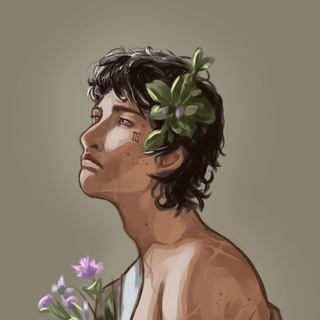 ilymertv