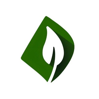 جوانه